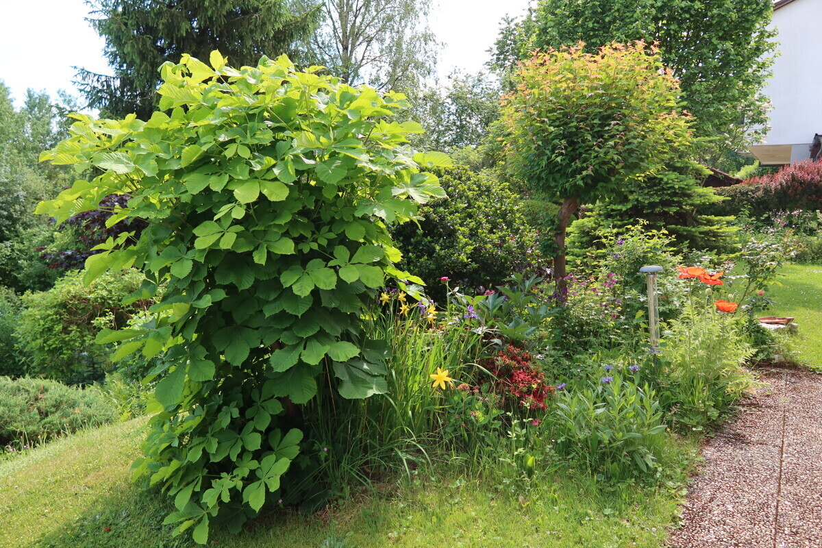 Garten