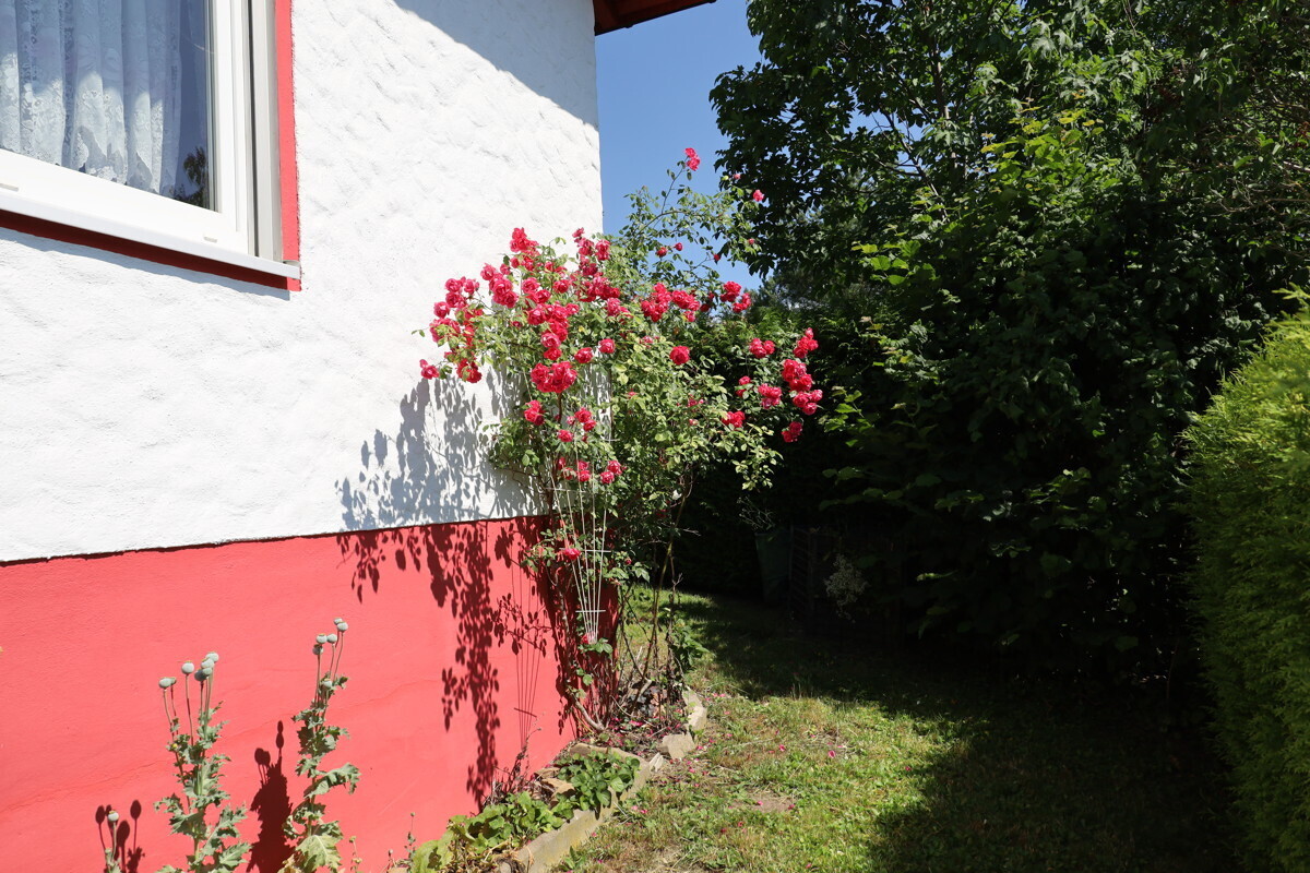 Umlauf ums Haus