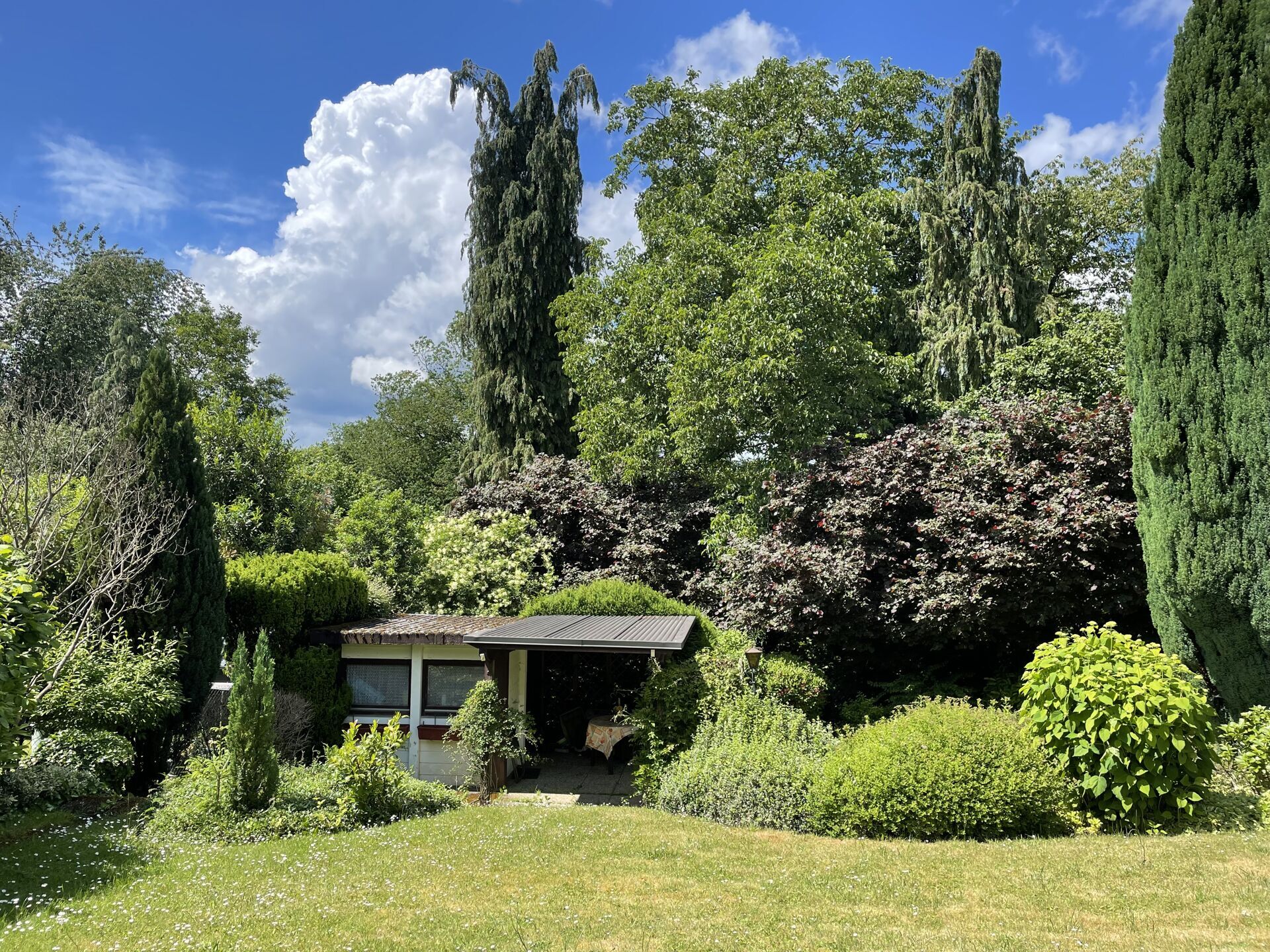 sonniger Garten