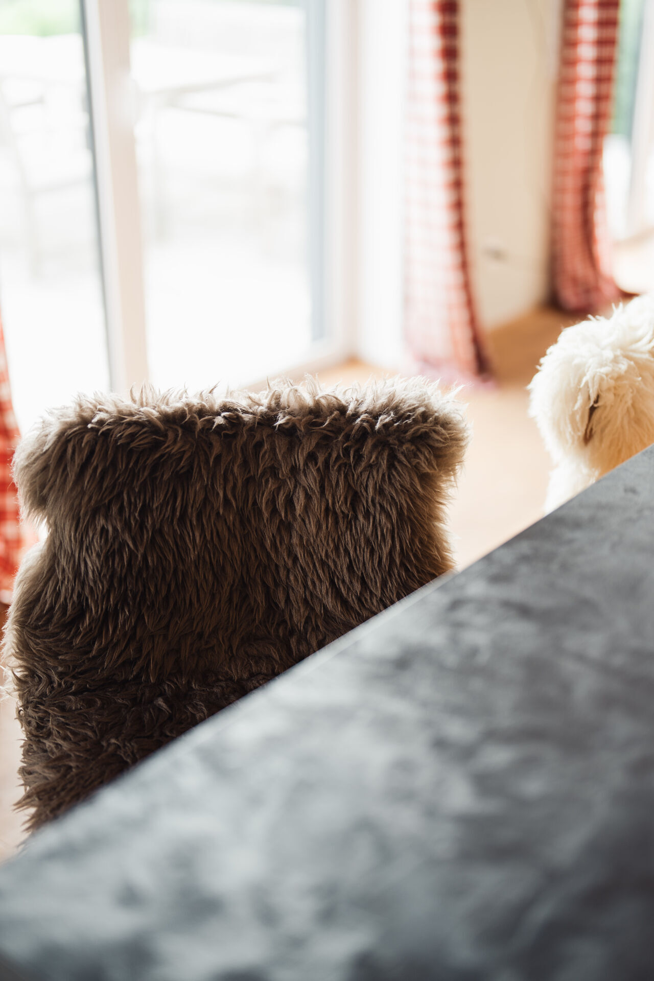 offener Wohn-/Essbereich