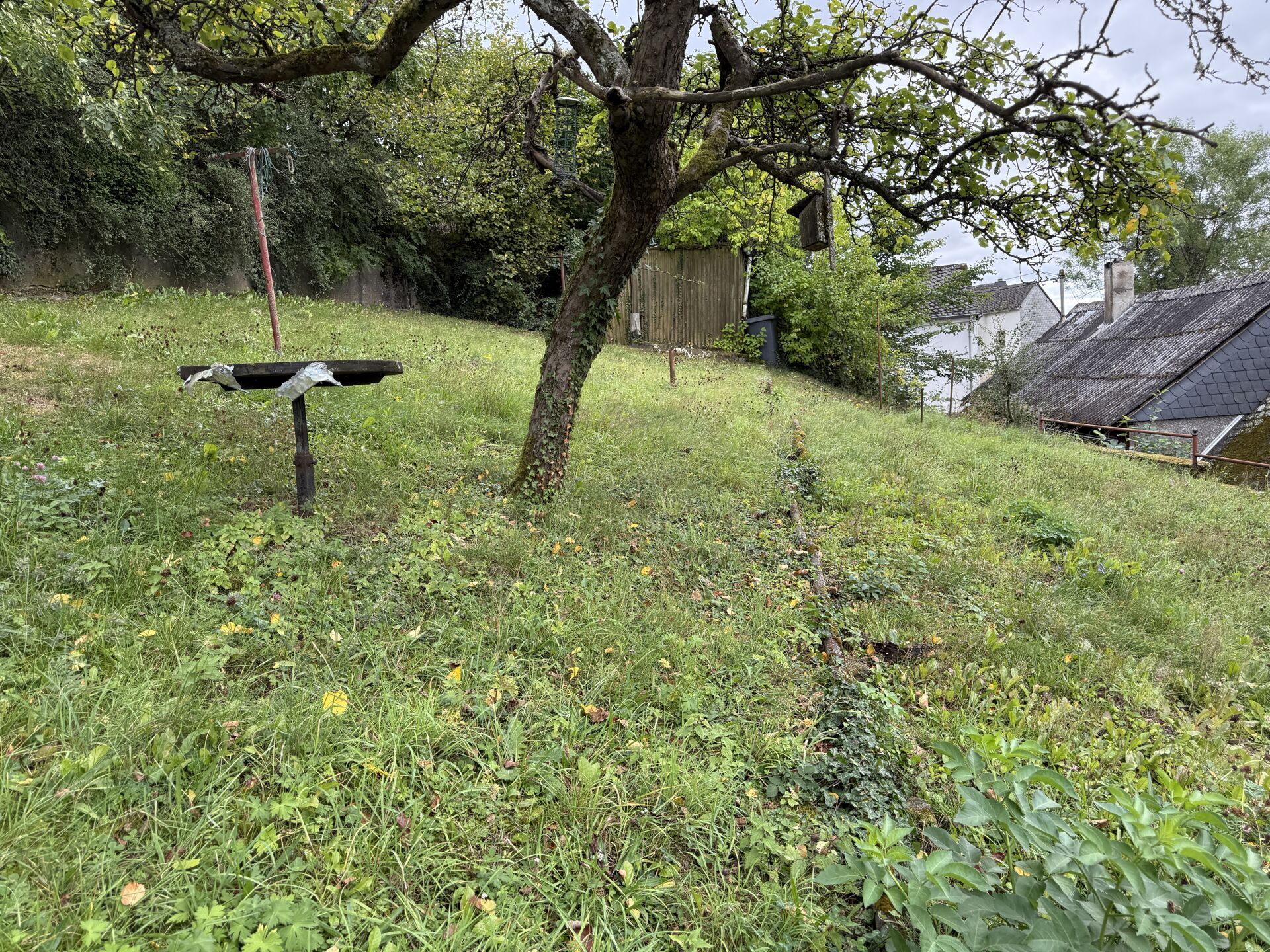 Garten-/Wiesengrundstück