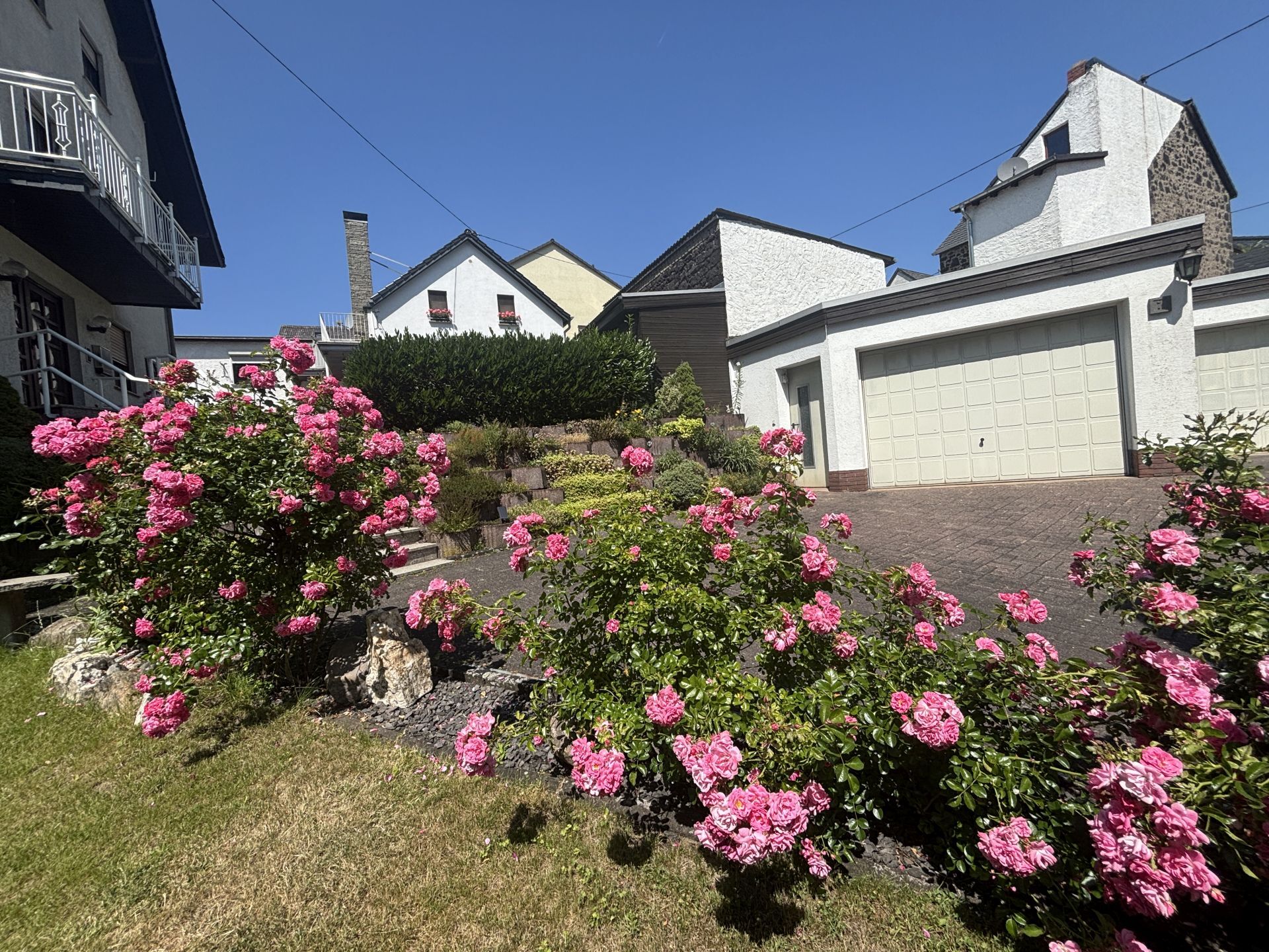 Anblick im Sommer