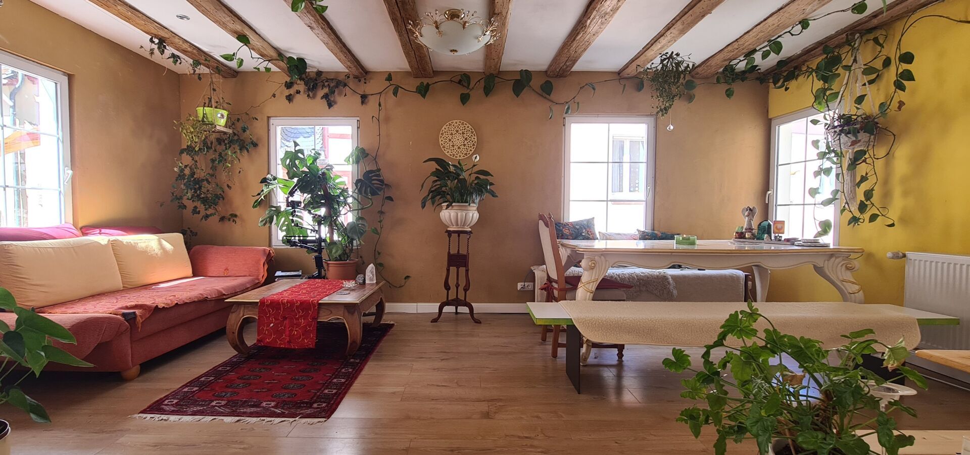 OG Wohnen