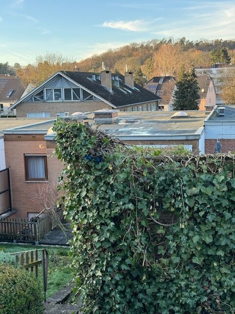 Blick aus dem Garten