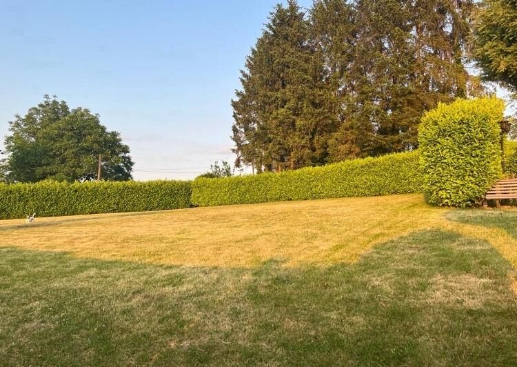 riesiger Garten