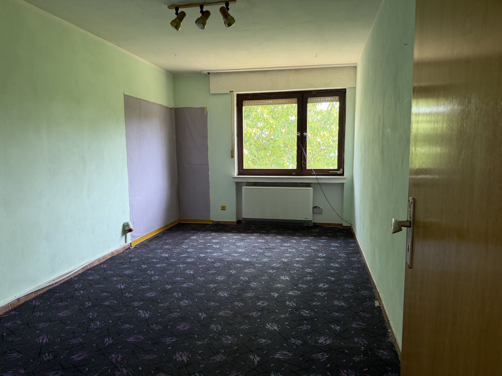 Zimmer EG