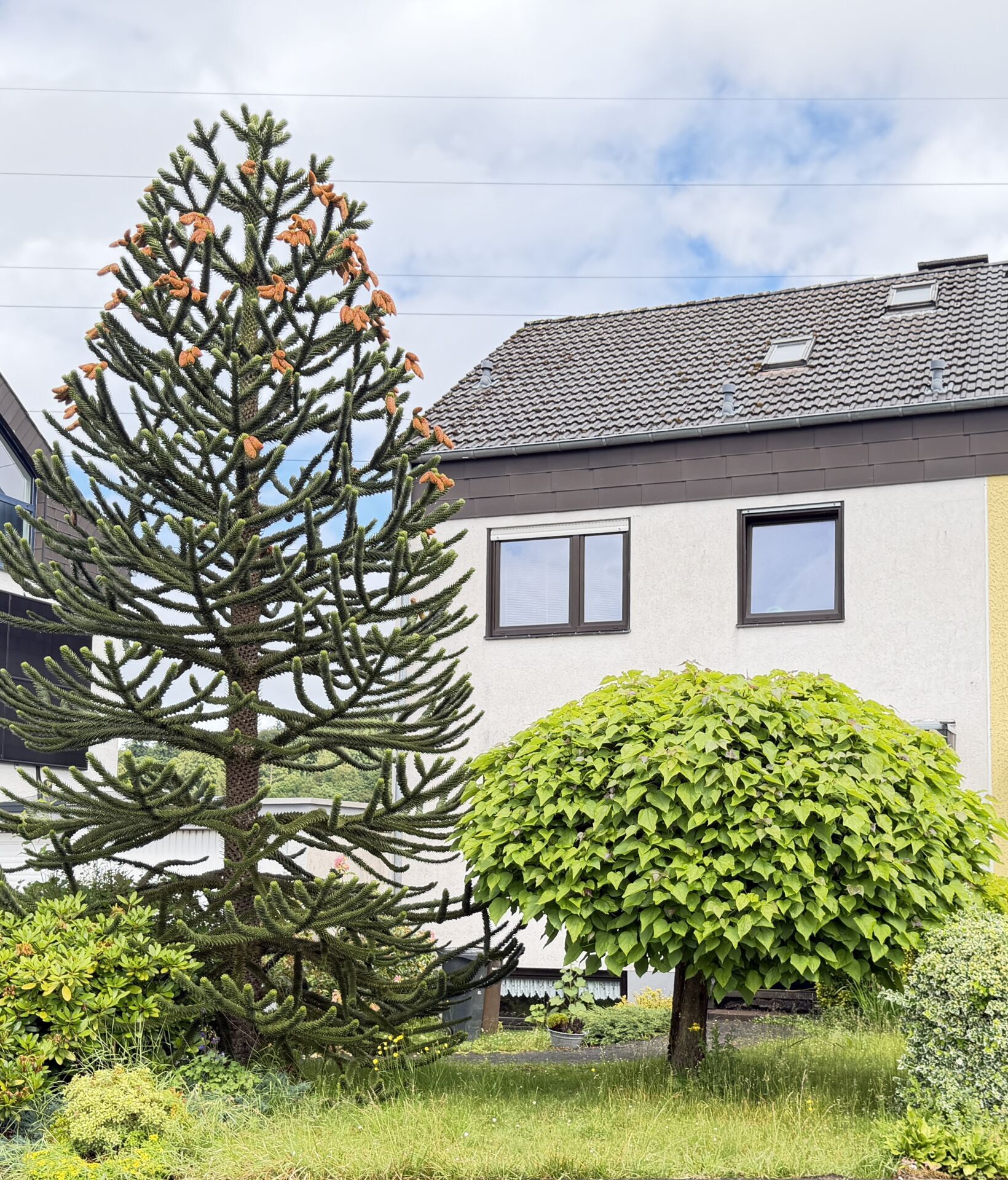 Hausansicht