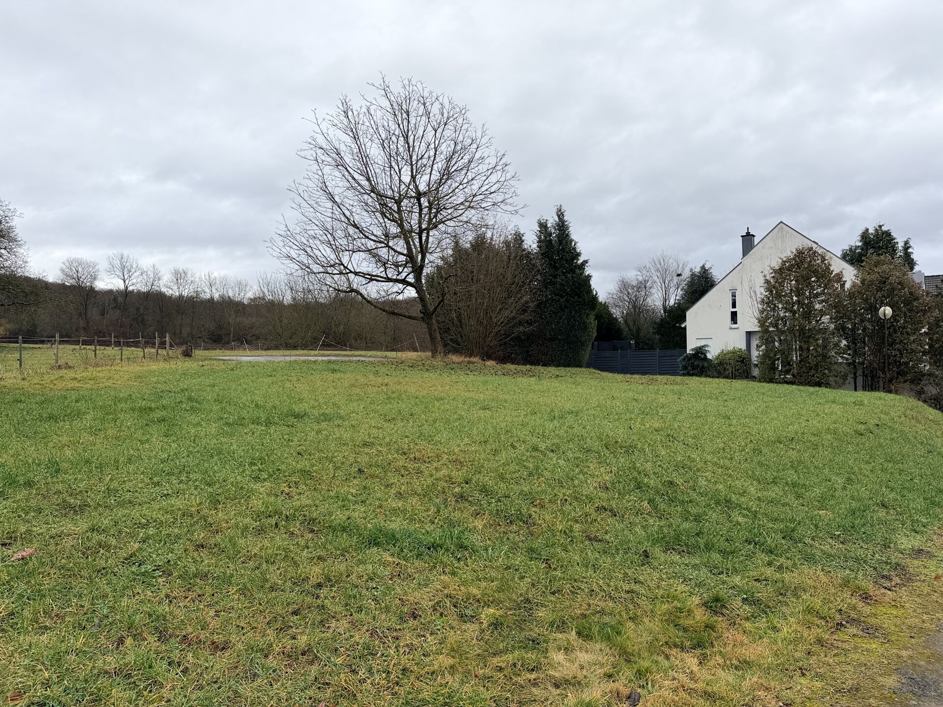 Immobilienbild