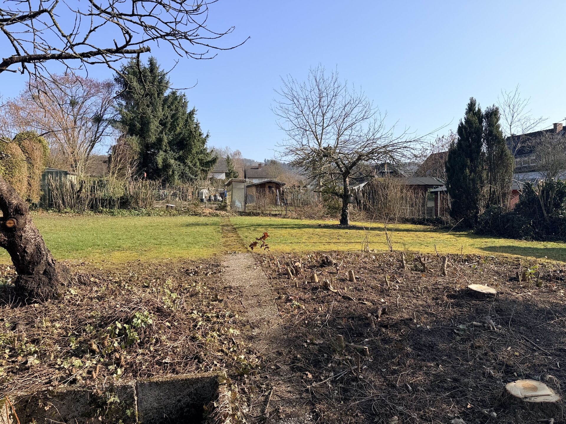 Garten II