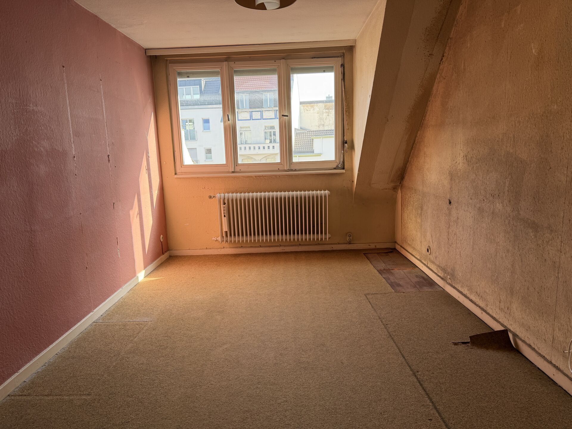 DG Zimmer