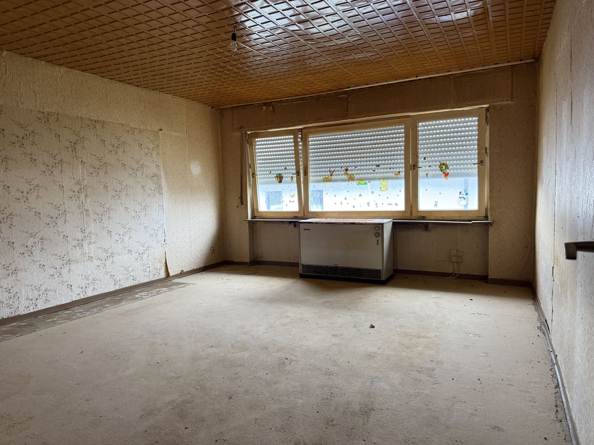 Wohn-/Schlafzimmer