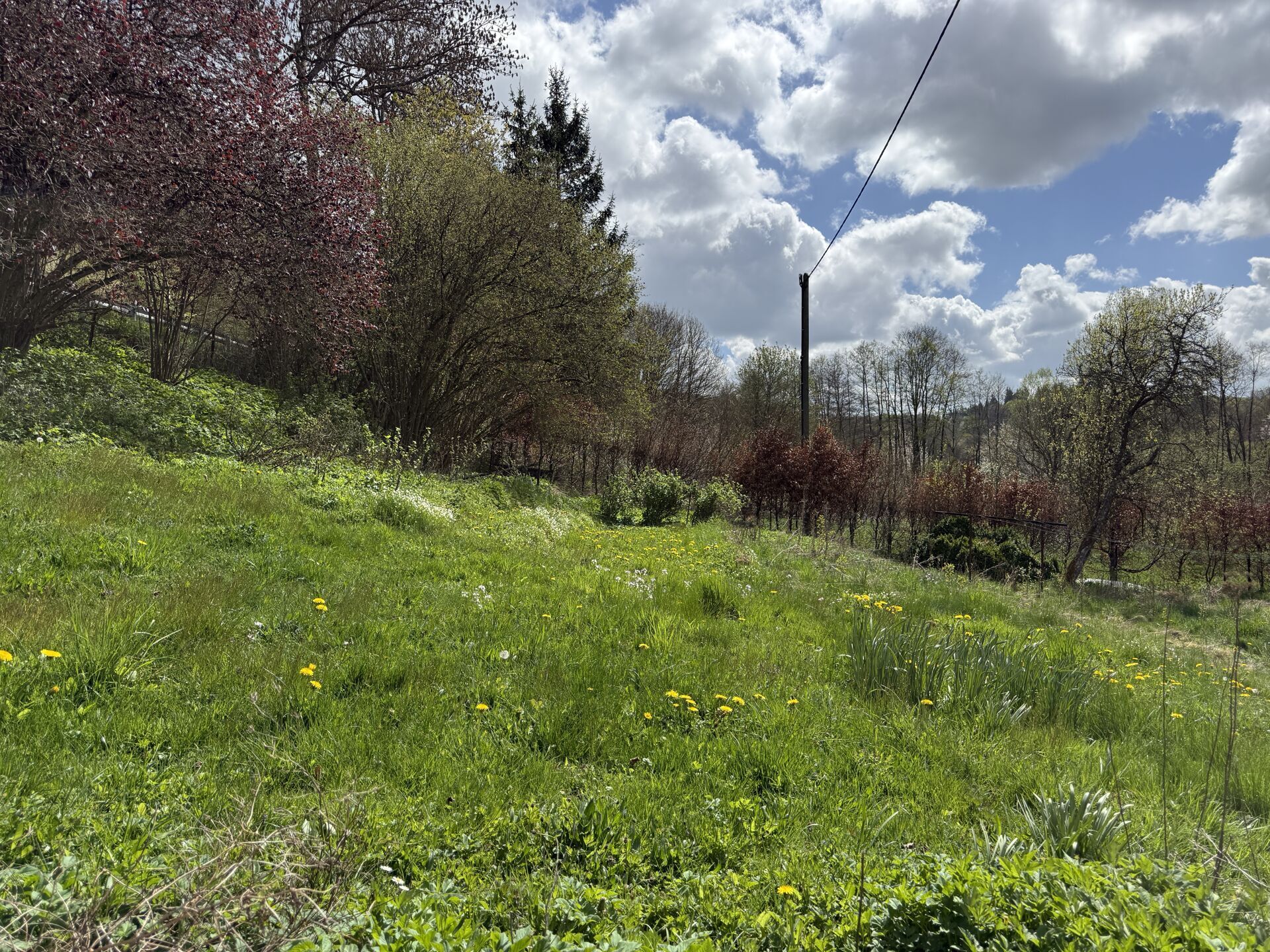 Garten-/Wiesengrundstück