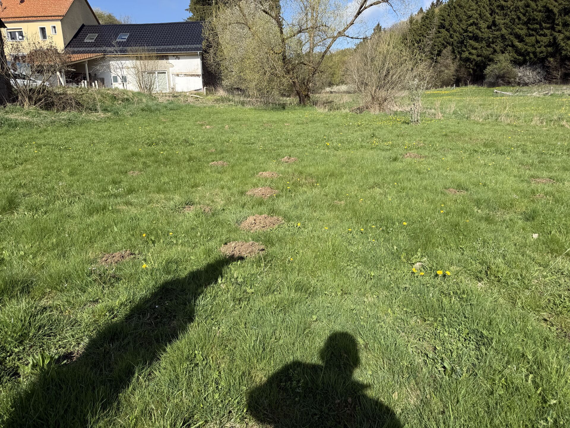 Garten-/Wiesengrundstück