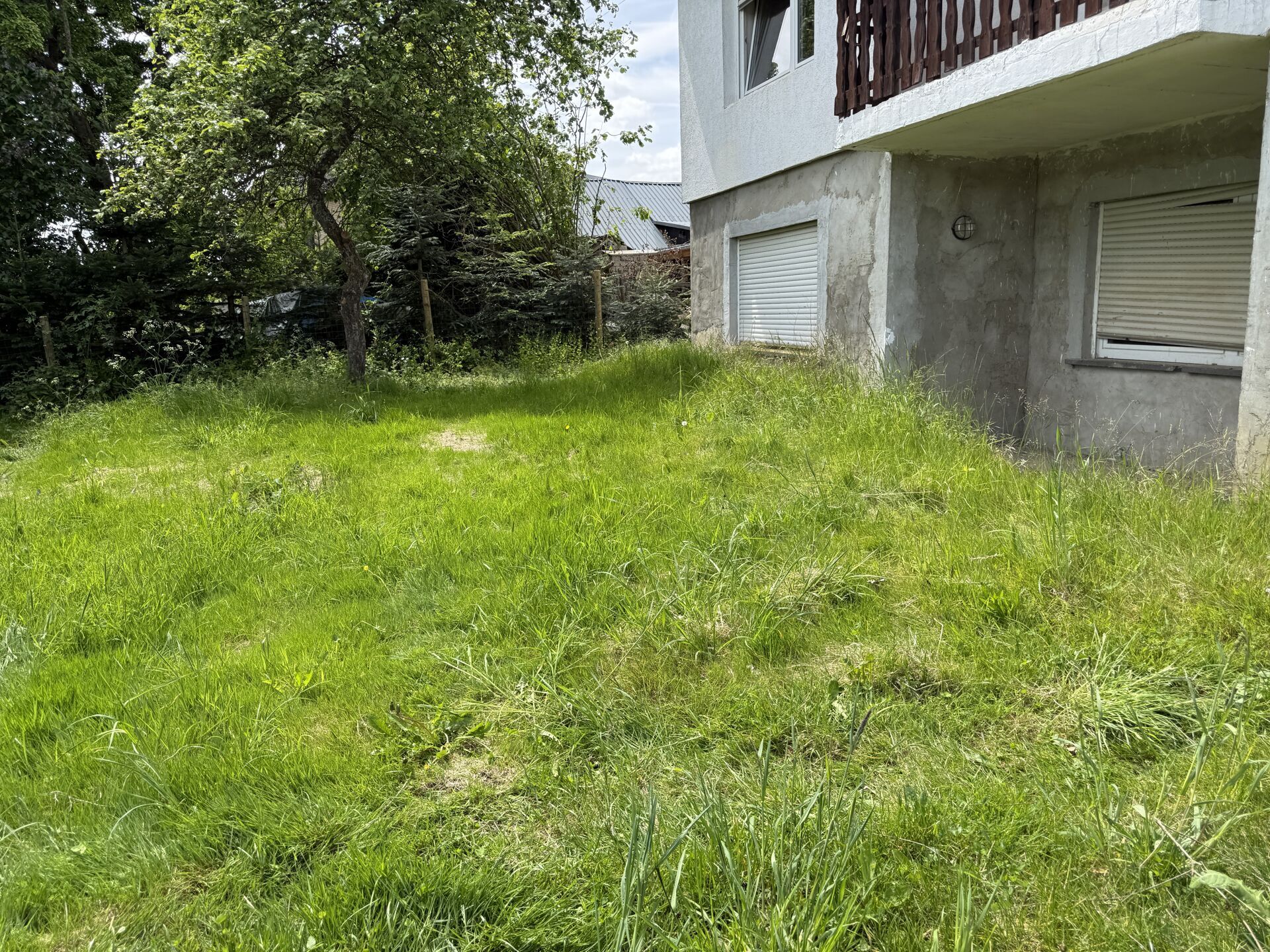 Wiesengrundstück
