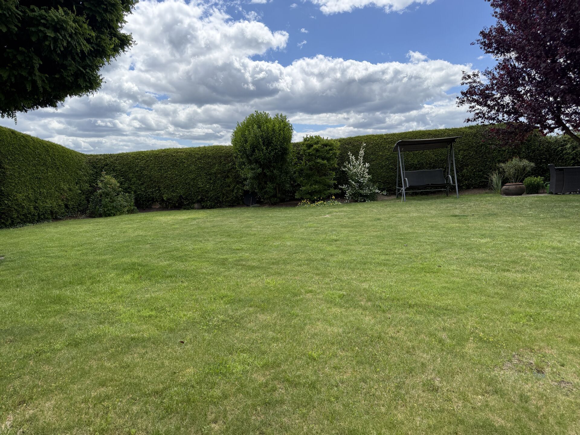 Garten-/Wiesengrundstück