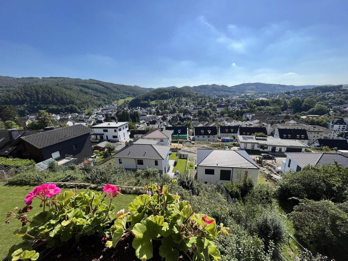 Der Ausblick