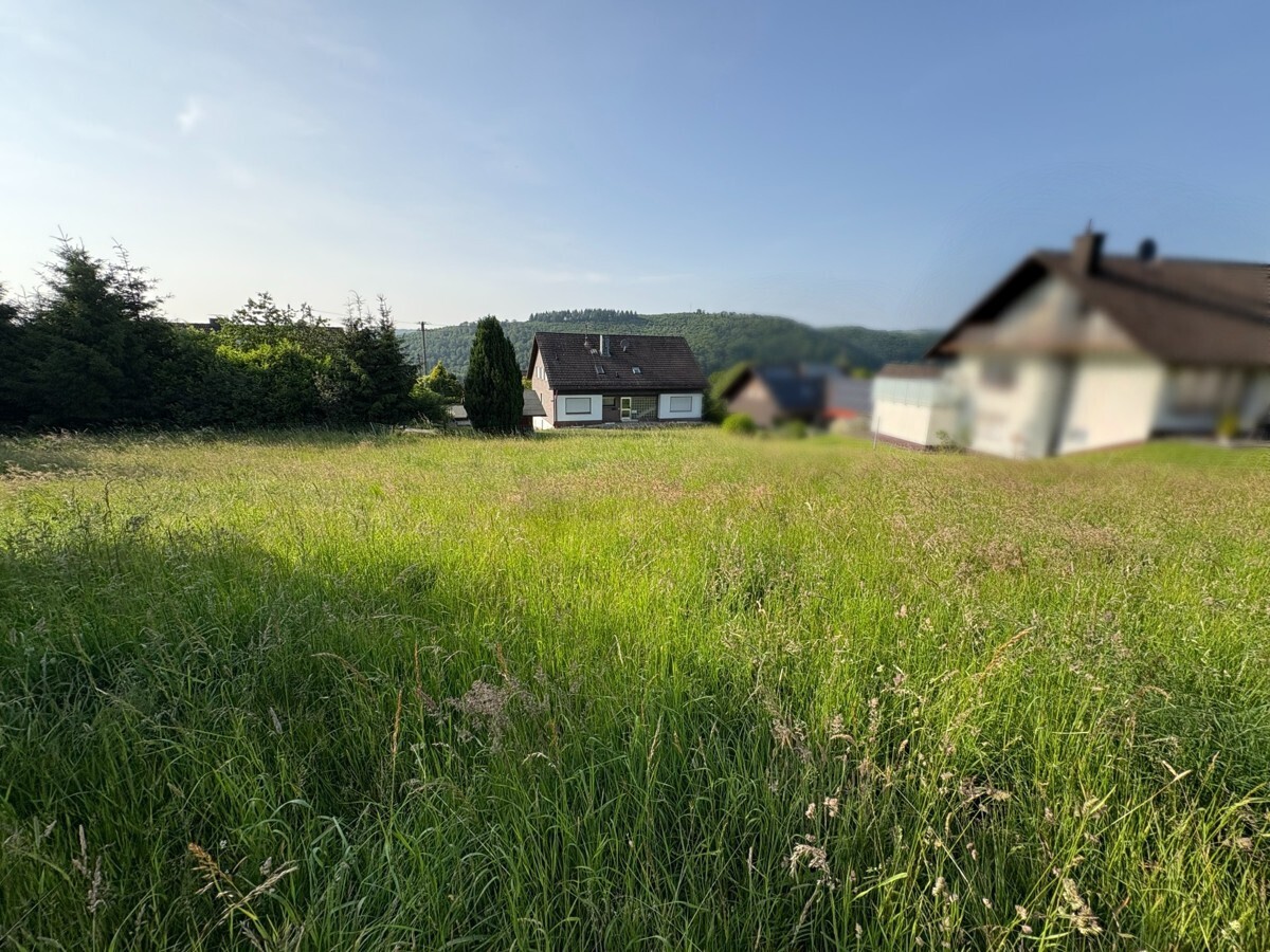 Ansicht