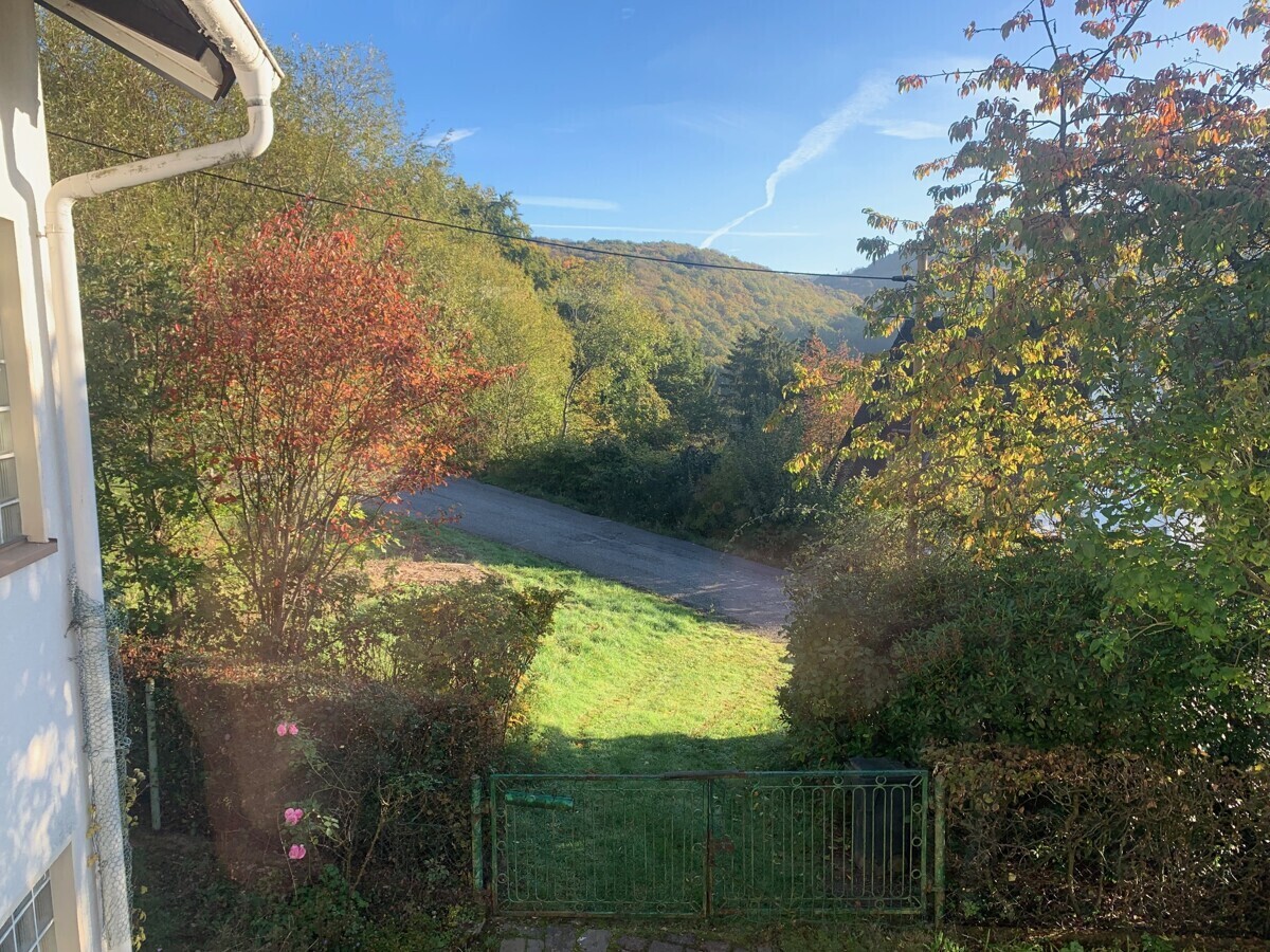 Garten im Sommer