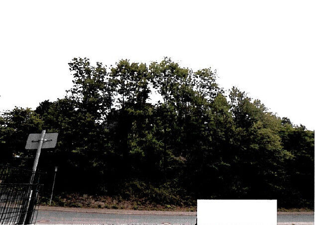 Straßenseitige Ansicht