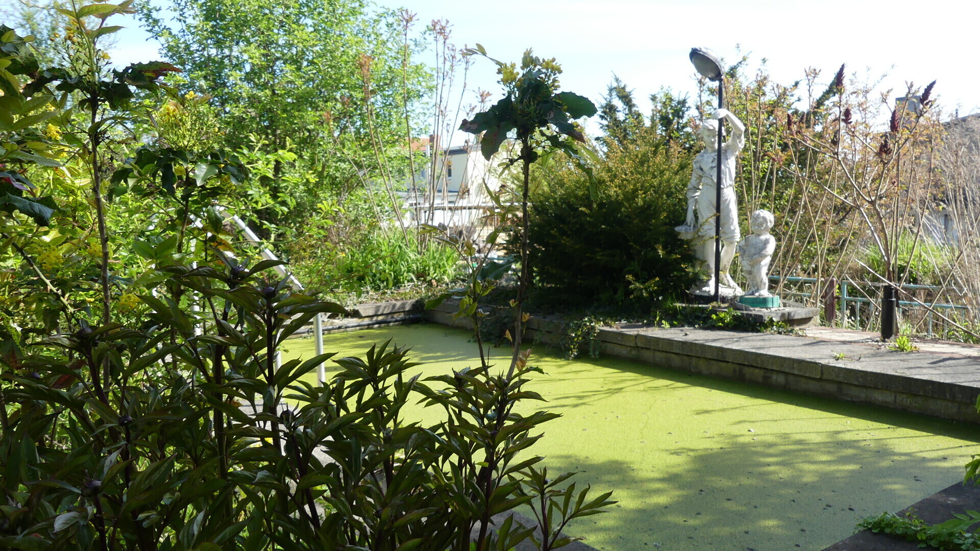 Grünbereich Pool