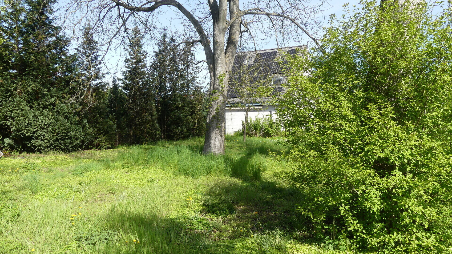 Grünbereich