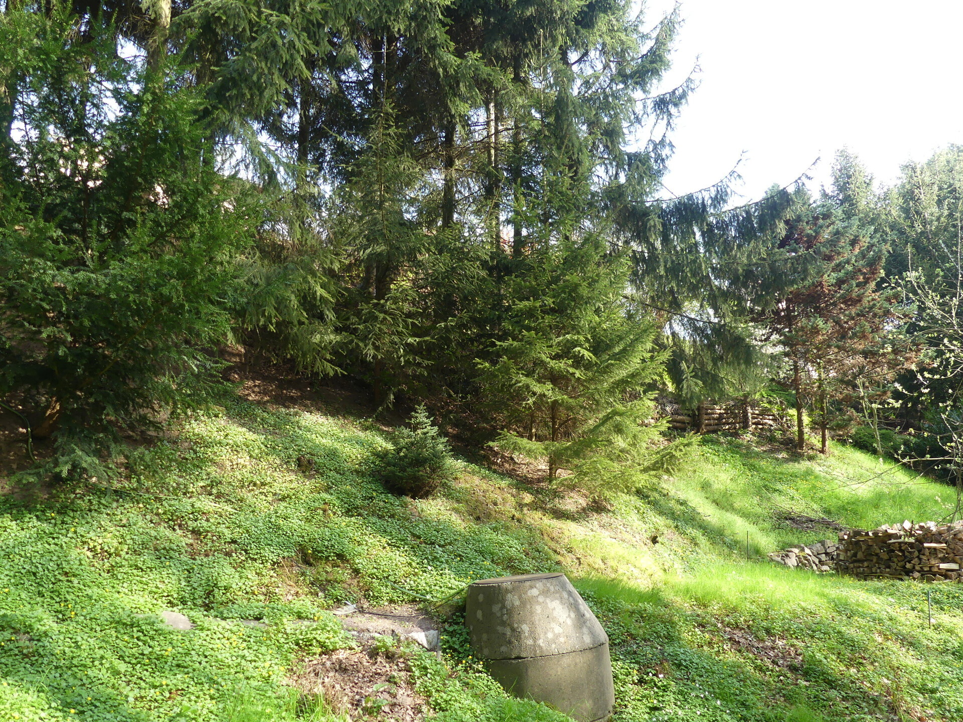 hinterer Grundstücksteil Wald