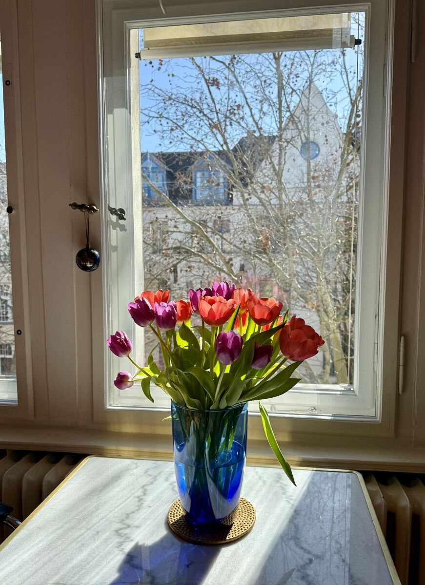 Immobilienbild