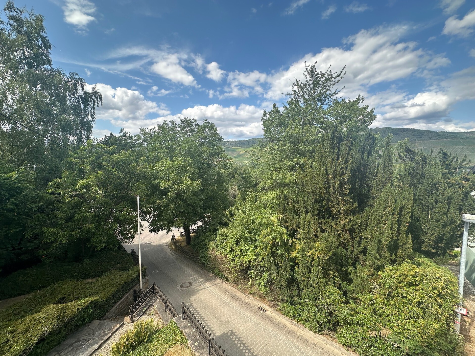Ausblick