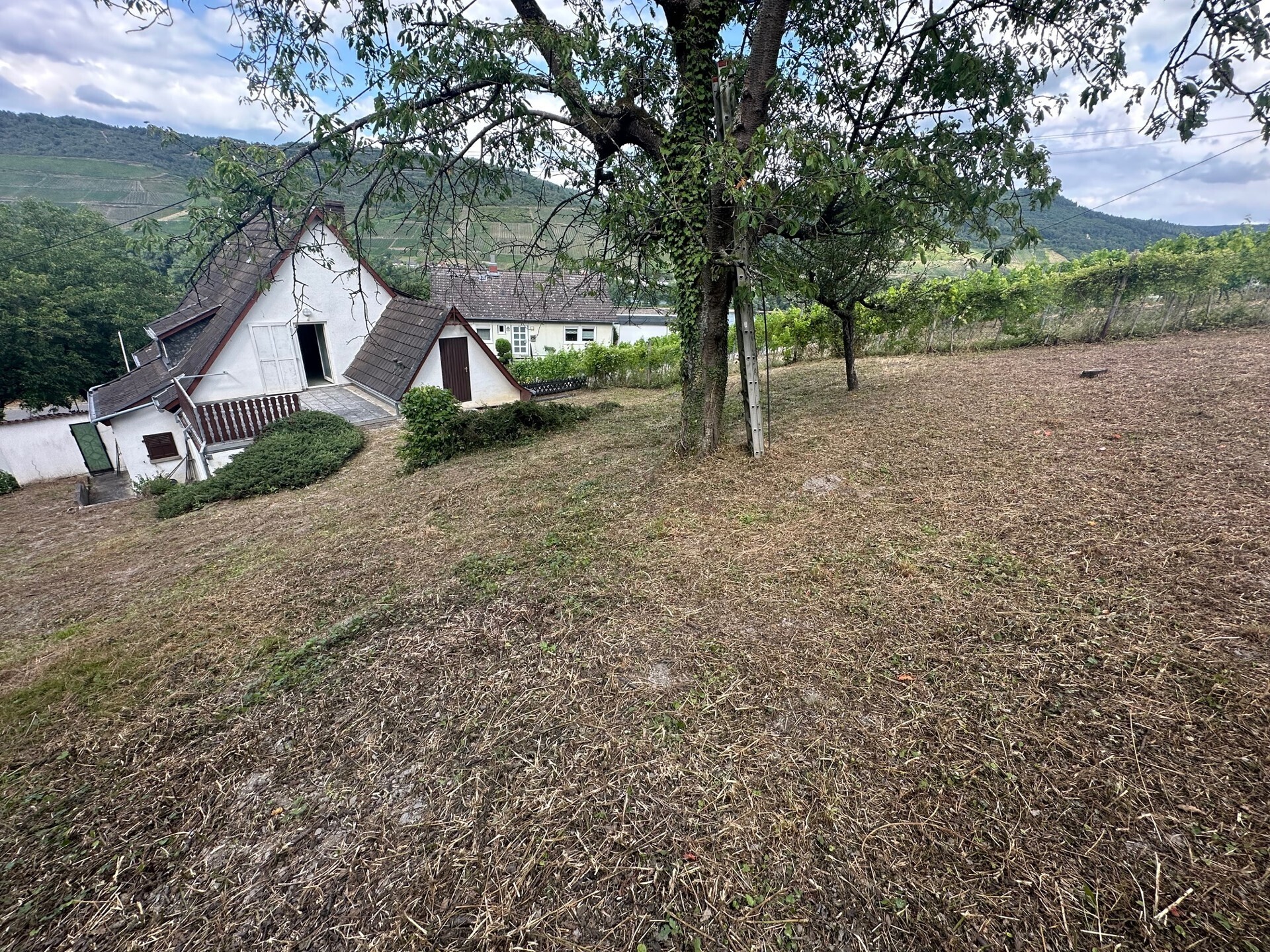 Gartenbereich