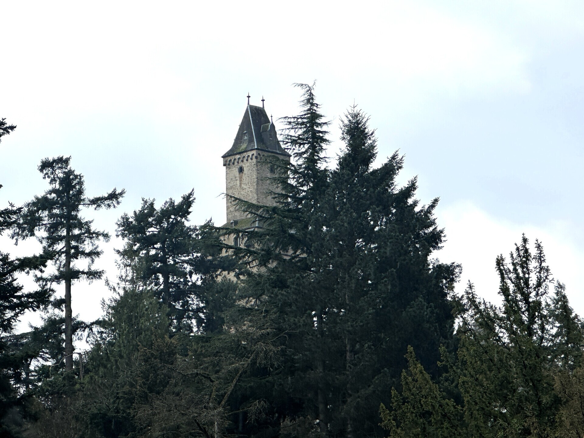 Blick auf die Burg