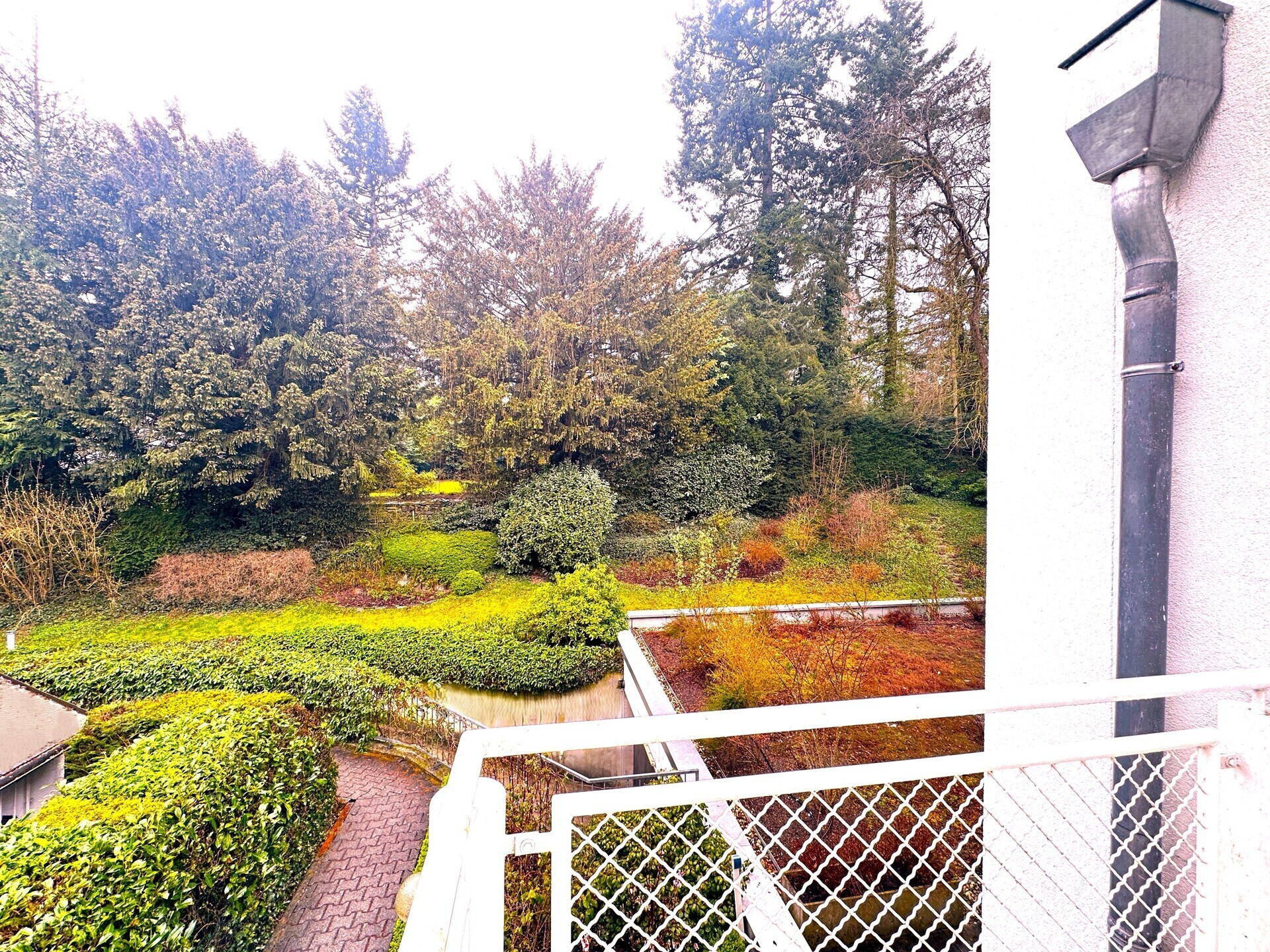 1.OG Balkon mit Sicht zum Garten