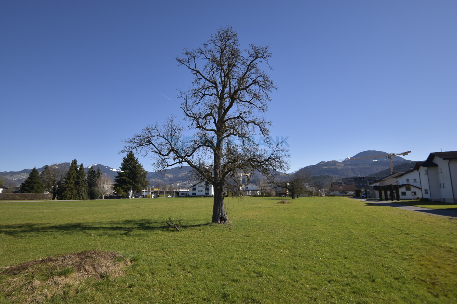 Ansicht 2
