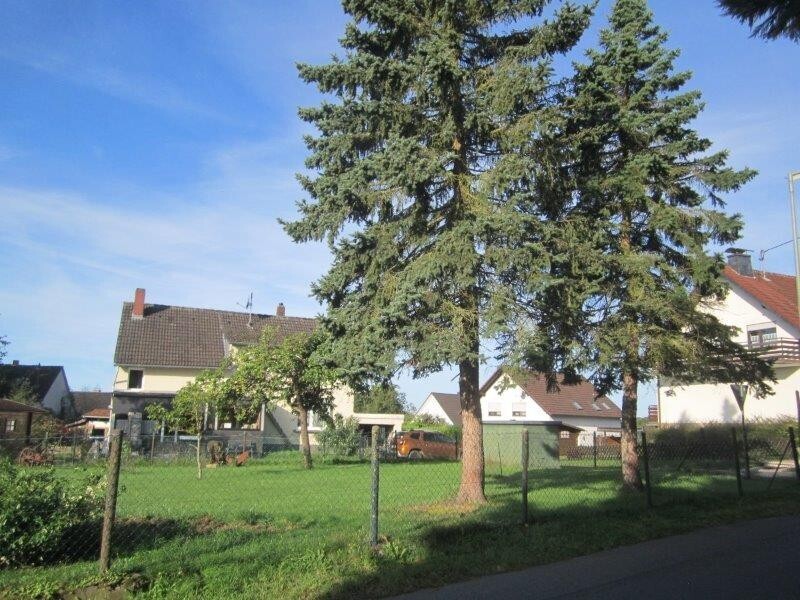 Bild2