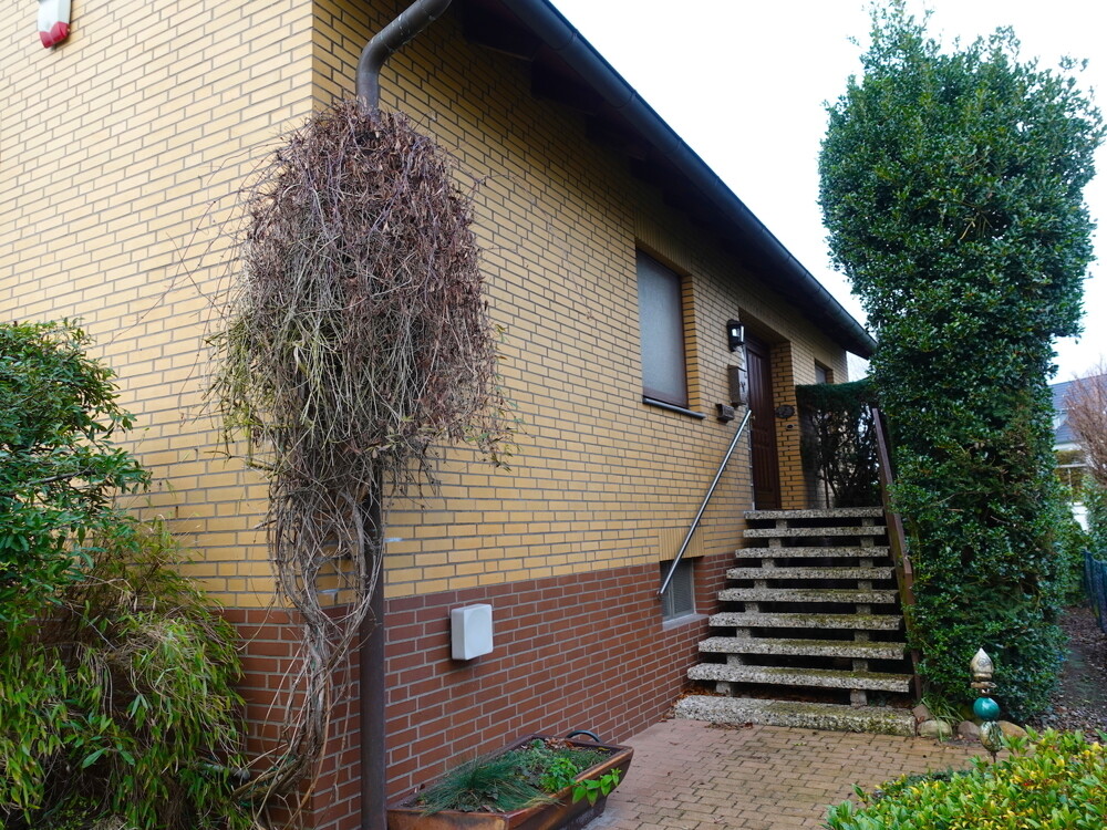 Aussen_6