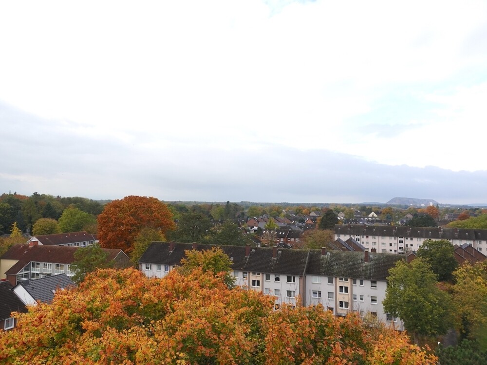 Blick_2