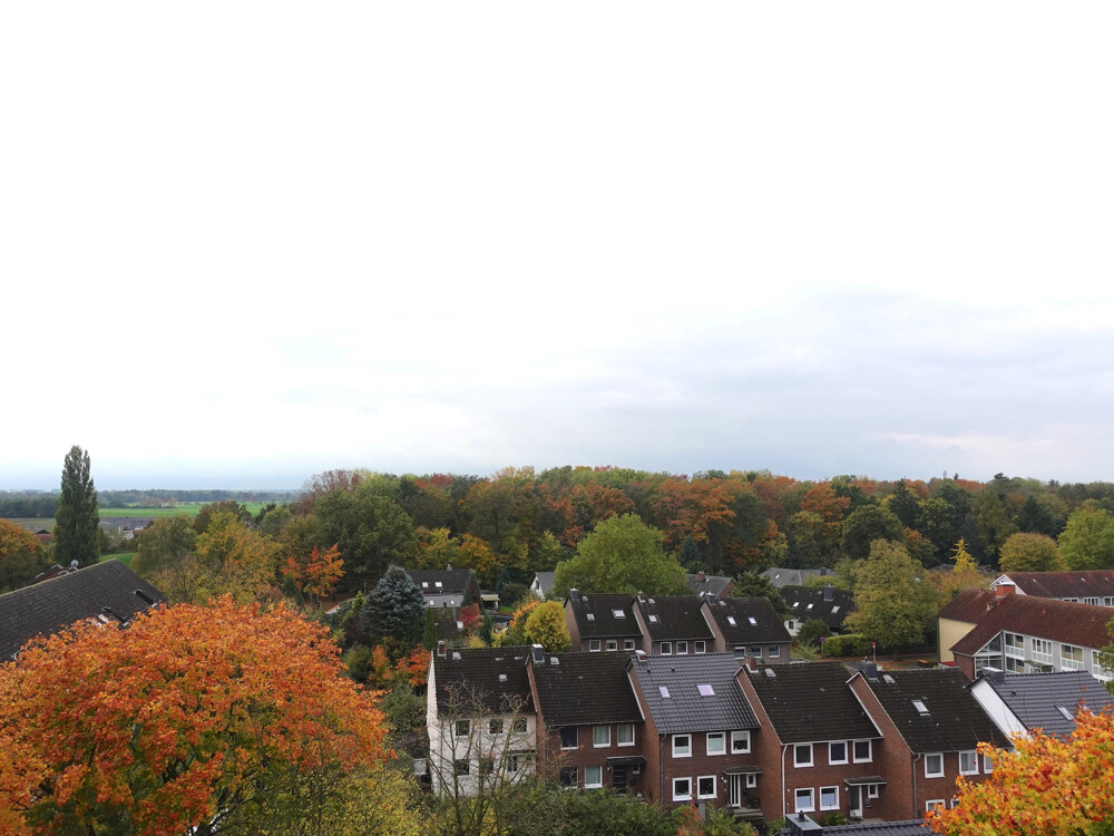 Blick_3