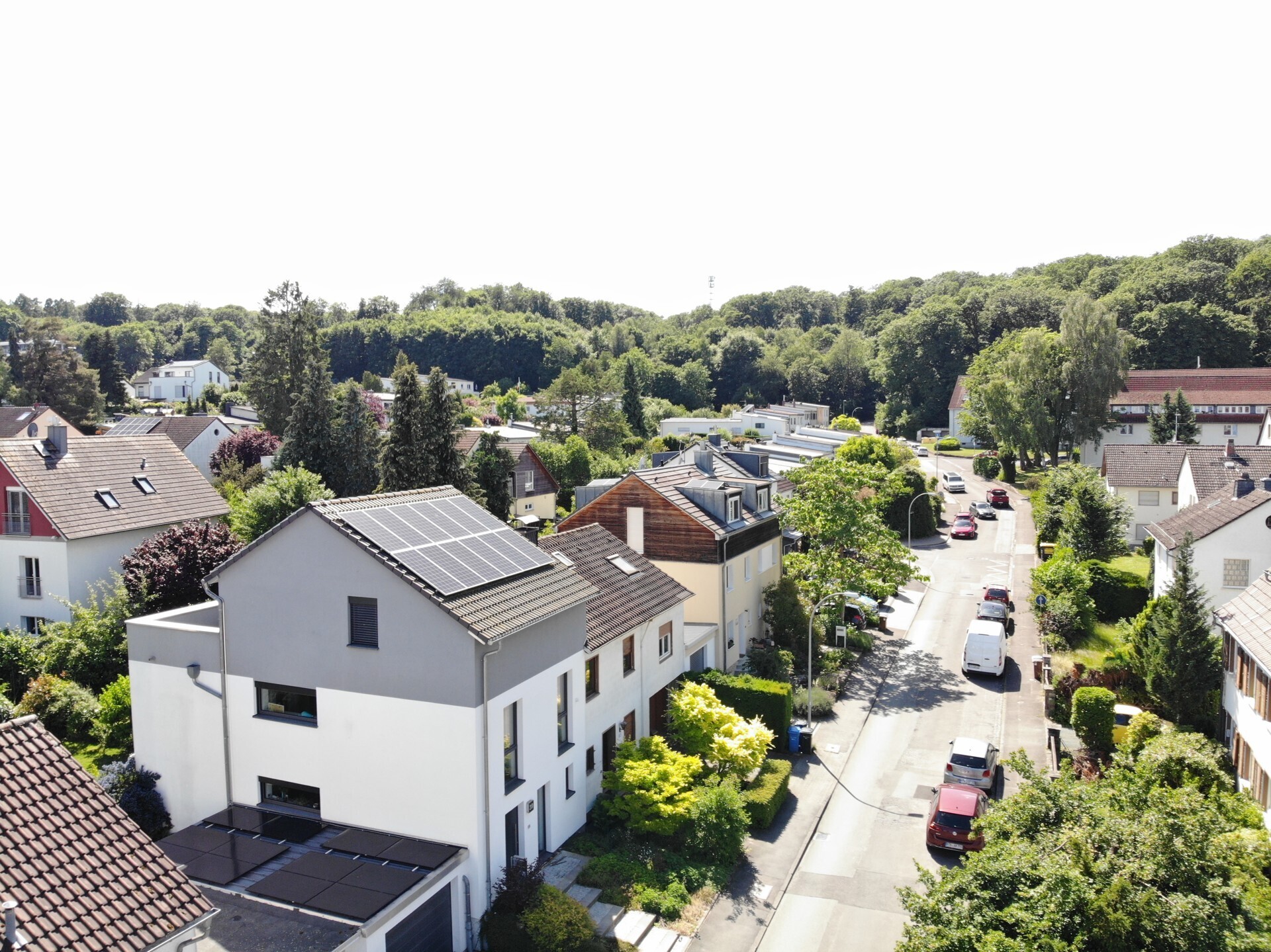 Ansicht Wald