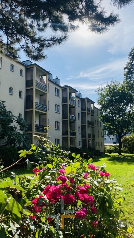 Außenansicht Garten _ WohnPLUS AG