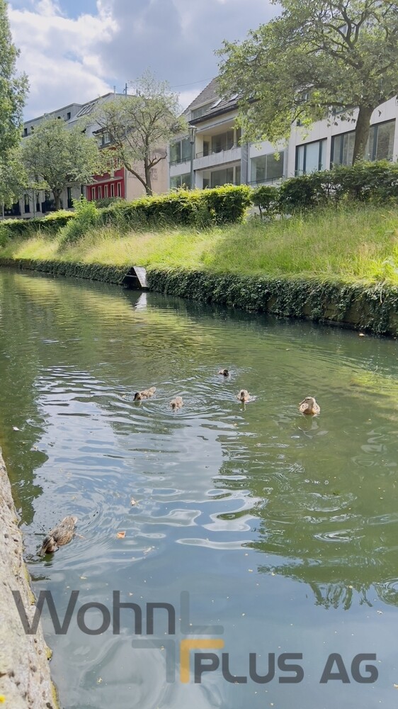 Hofgarten