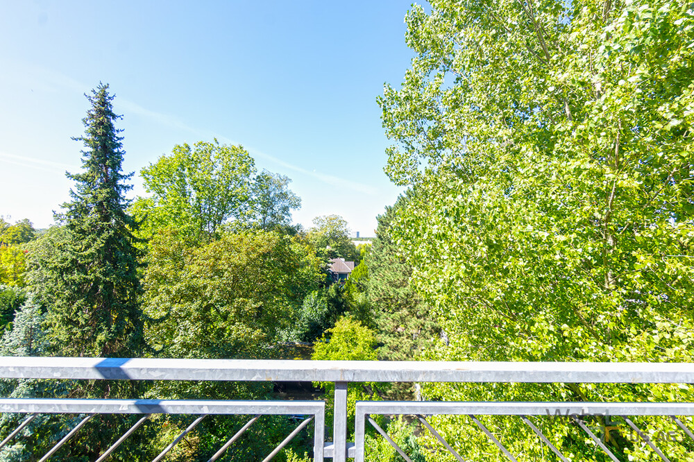 Ausblick Terrasse 1