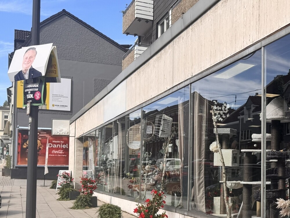 Ansicht-1