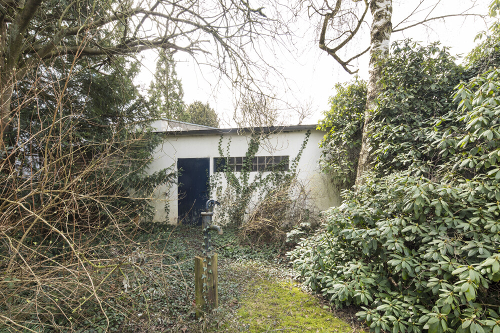 Garten / Bebauungsfläche