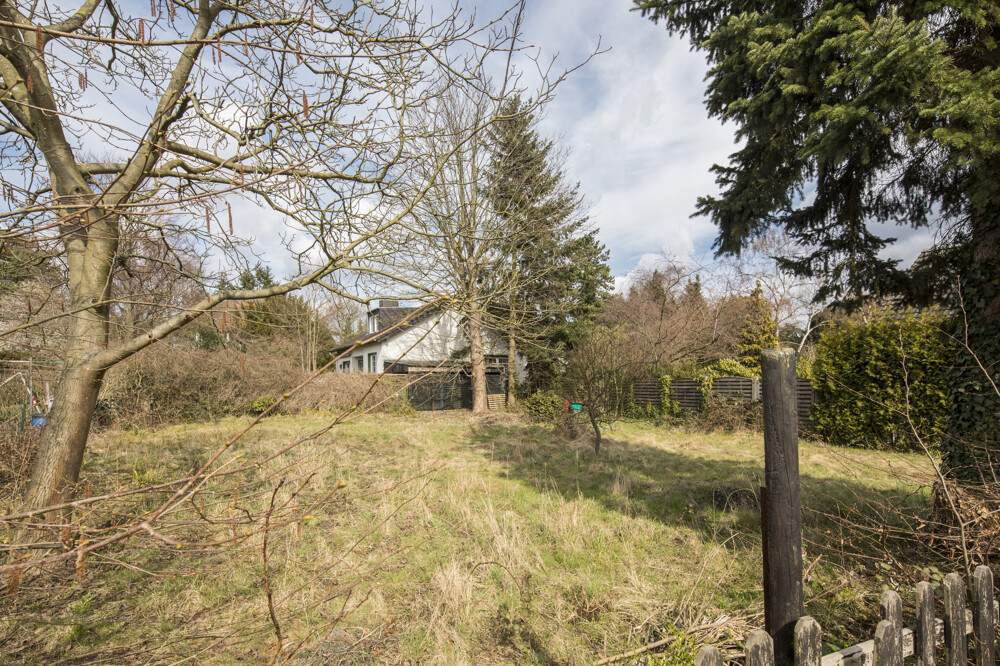 Garten / Bebauungsfläche