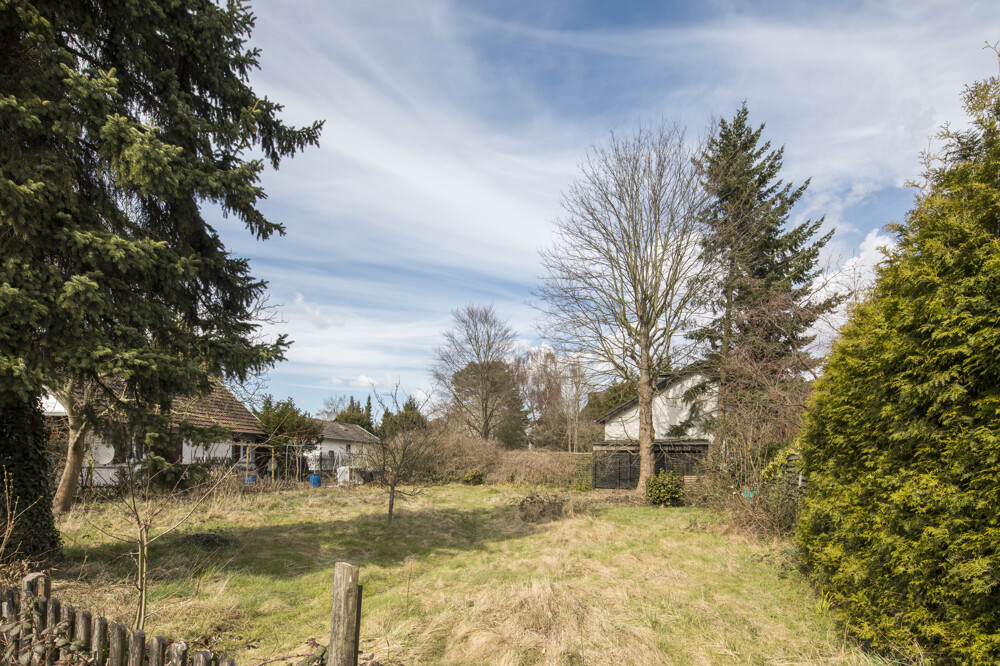 Garten / Bebauungsfläche