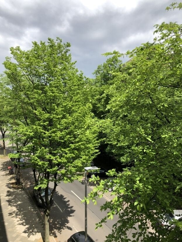 Blick aus Wohnzimmer 2.png