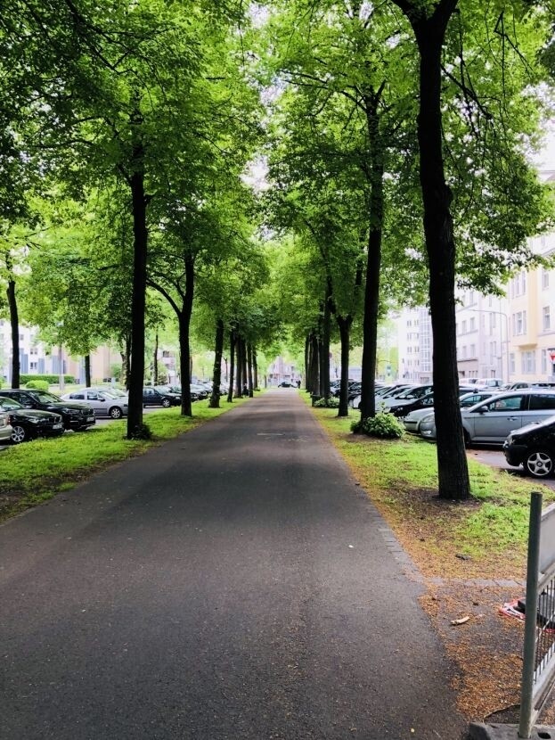 Parkmöglichkeiten vor dem Haus.png