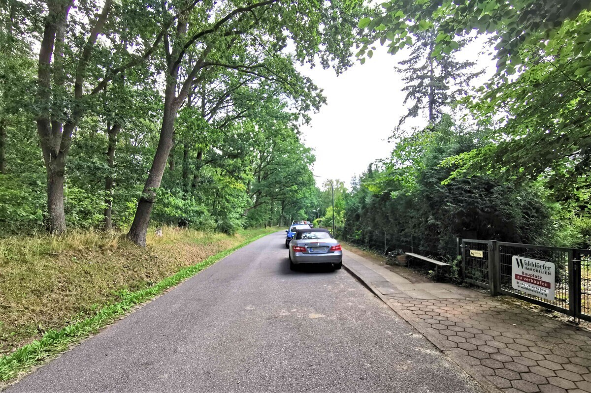 Wohnstrasse am Waldrand