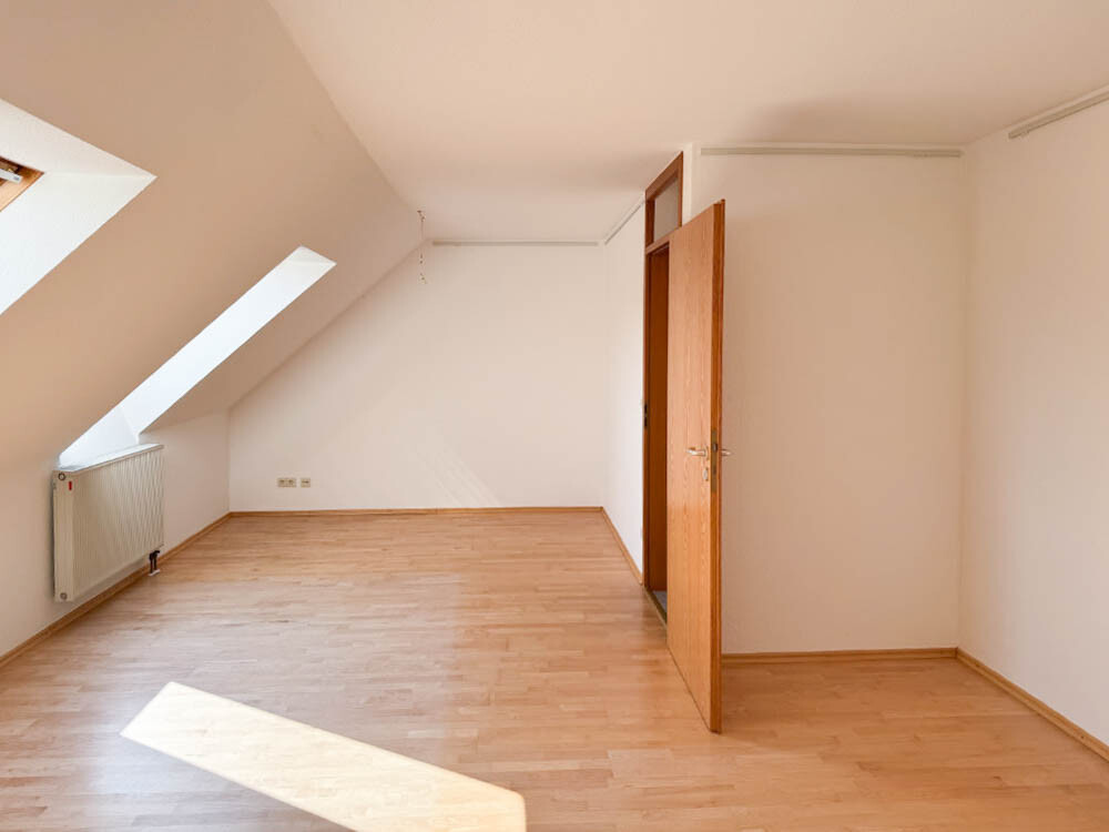  DG Studio 