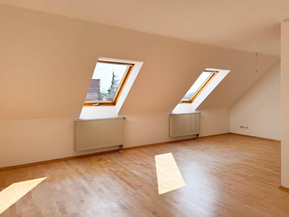 DG Studio 