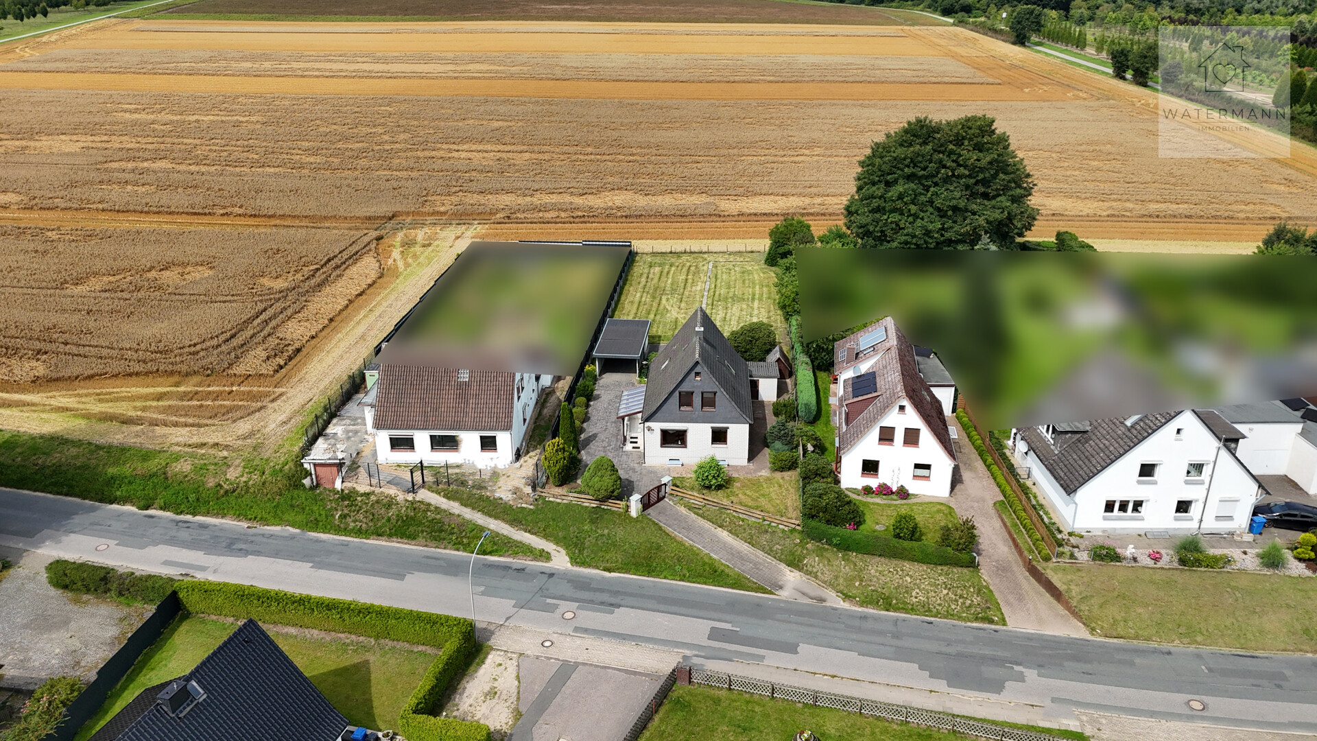 Blick aufs Feld